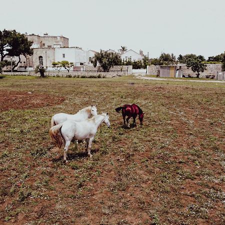 Masseria Francescani Torre Chianca Zewnętrze zdjęcie